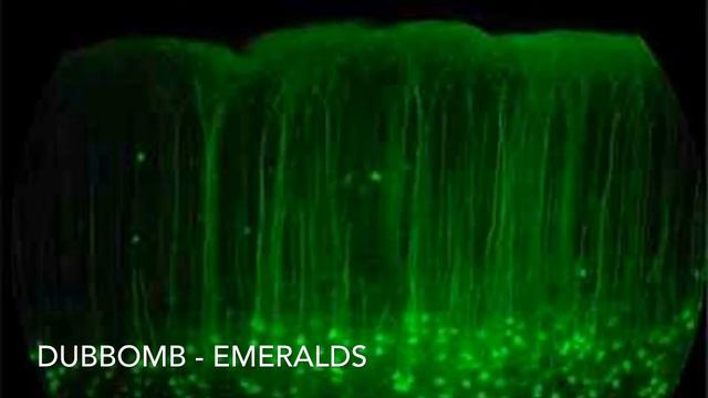 TheOfficalDubBomb - Emeralds [HD Dubstep] смотреть онлайн