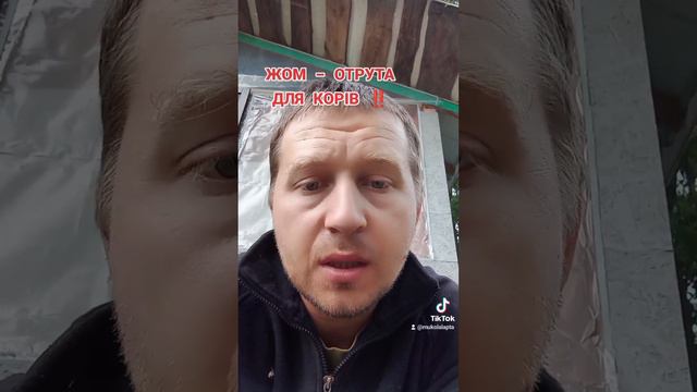 ‼️Жом - це отрута для корови ‼️ смотреть онлайн