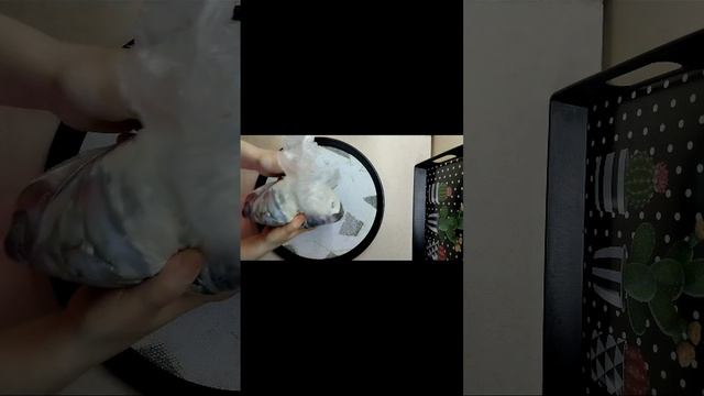 Техника Фокусов и Манипуляций