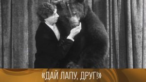 «Дай лапу, друг!» (1974) / «Солнечный клоун. Олег Попов» (1986)  // XX век @Телеканал Культура