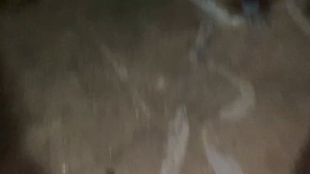 SOCORRO! Papai Vai Fugir de Casa 😵 смотреть онлайн