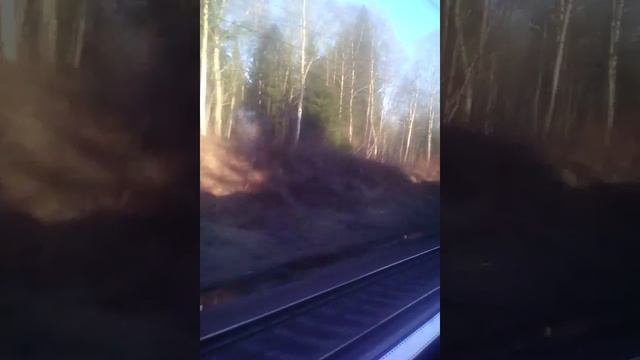 Электропоезд. Сосново- Санкт-Петербург (Финляндский) смотреть онлайн