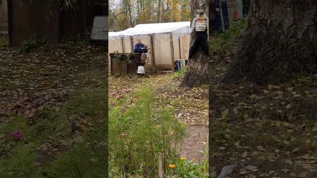 7.10.2019 НЕМНОГО ПОЗИТИВА НА ДАЧЕ ч.2 ??? смотреть онлайн