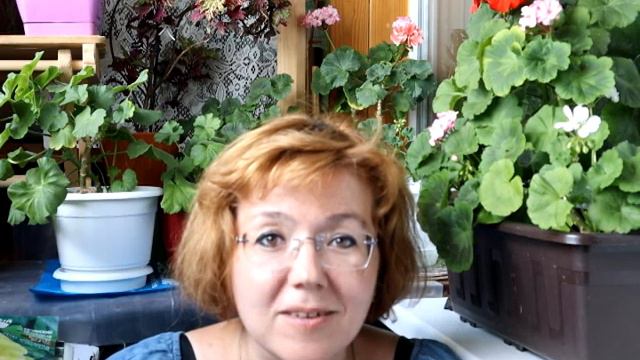 Моя спроба написати ЕСЕ для зовнішнього незалежного оцінювання. ЧАСТИНА 3 смотреть онлайн