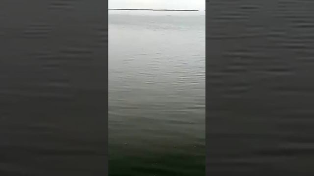 Камчатка. Рыбалка на гольца. смотреть онлайн