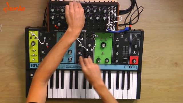 Moog Grandmother And Moog DFAM Live Session At Kilombo