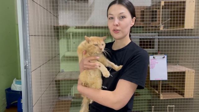 Спасибо за апрель! смотреть онлайн