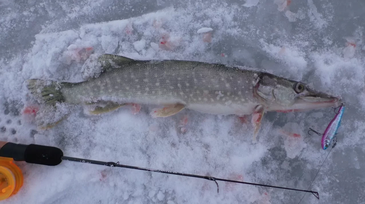 Ловля Щуки, Карася зимой на озере . Зимняя рыбалка смотреть онлайн