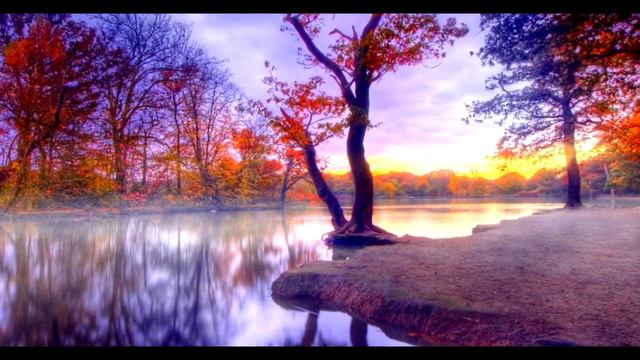 Природа фотографии часть 2 смотреть онлайн