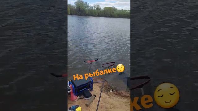 Рыбалка #shorts #рыба #рыбалка #fishing #фидер #feeder #feederfishing #флагман #flagman #нарыбалке смотреть онлайн