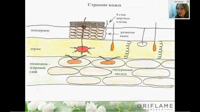 Мастер класс основы смотреть онлайн