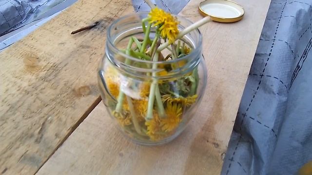 Компьютерные Игры и Летсплеи