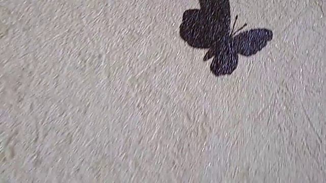 Стройка Плюс Минус