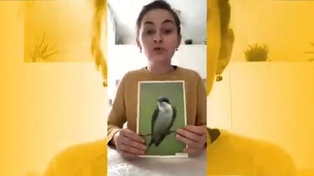 Видео-урок "Перелетные птицы" смотреть онлайн