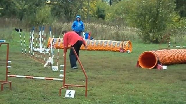 Кубок НАТИ 16.09.2012 Джампинг А3 смотреть онлайн