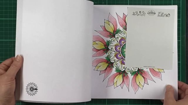 Book Review: Eclectica, Circolour and Colourful Christmas смотреть онлайн