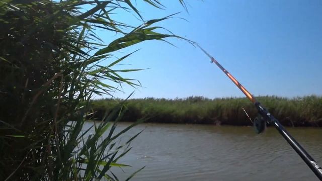Простая РЫБАЛКА по - быстрому, КОЛОКОЛЬЧИКИ молчат, зародыши клюют на ПОПЛАВОК. смотреть онлайн