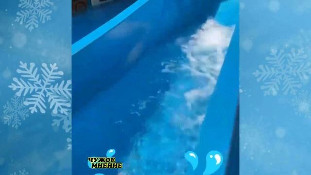 Алексей Ягудин и Татьяна Тотьмянина с дочками отдыхают в Дубае смотреть онлайн