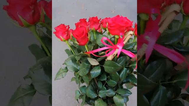 КУПИТЬ ЦВЕТЫ ДНЕПР ДОСТАВКА НА ДОМ (4)