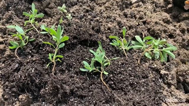 Мода и Стиль