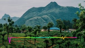 Пазилат Омарова - Гьей дубурлан