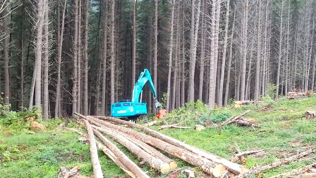 Woodsman Pro Processor In Action смотреть онлайн