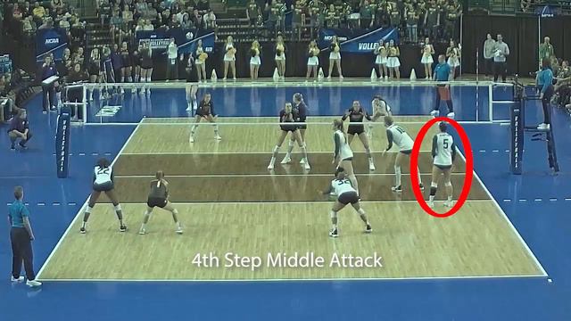 Middle-Blocker Timing and Tempo Options in Volleyball смотреть онлайн