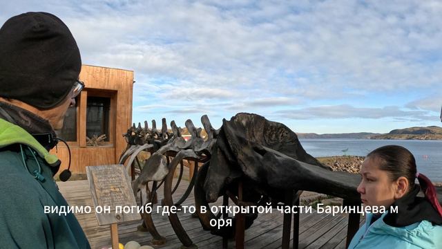 Кашалот в Териберке (фрагмент экскурсии) смотреть онлайн