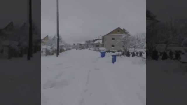 Как живут люди за городом в Литве. Зимняя прогулка 2021 Winter walk in Lithuania. 2021 смотреть онлайн