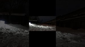 Отвал на мотобуксировщик.