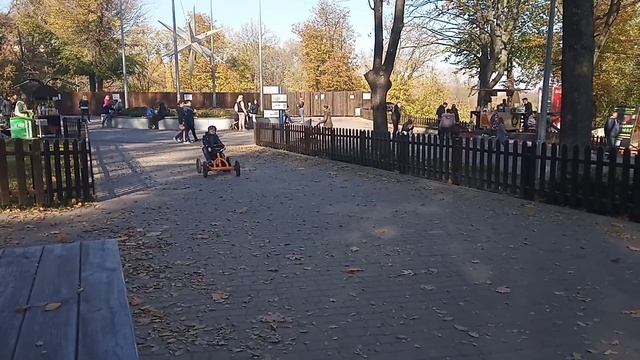 Парк Зелёный Гай / Осень 2021 / Днепр смотреть онлайн