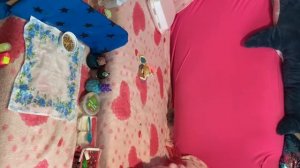 Перестановка в домике сквиши собачек