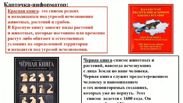 Урок русского языка и литературы на тему "Заповедная территория" 8 класс смотреть онлайн
