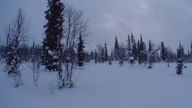 Начало сезона 22-23 в Алакуртти. SKI-DOO SUMMIT смотреть онлайн