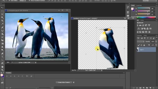 How to use Gradient Tool and Paint Bucket Tool in Photoshop by sir Majid on technologiesworld смотреть онлайн