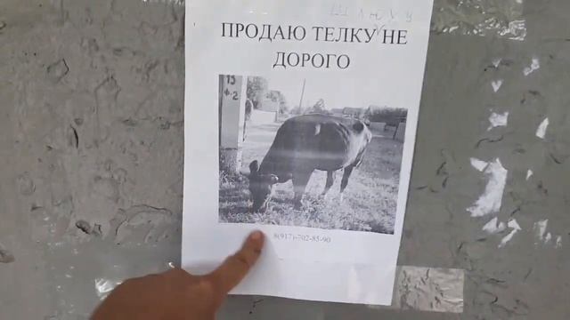 Путешествие туда-сюда, финоугорская ходьба смотреть онлайн