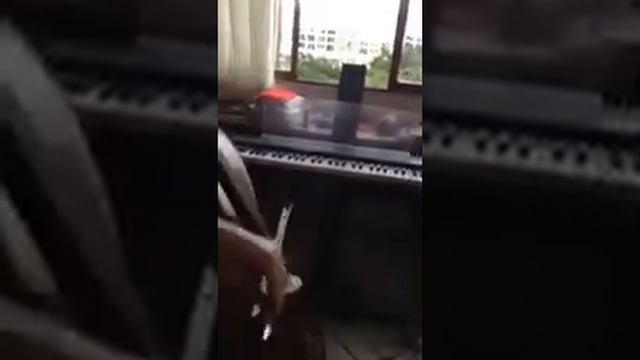 Minuet n. 2, J. S. Bach смотреть онлайн
