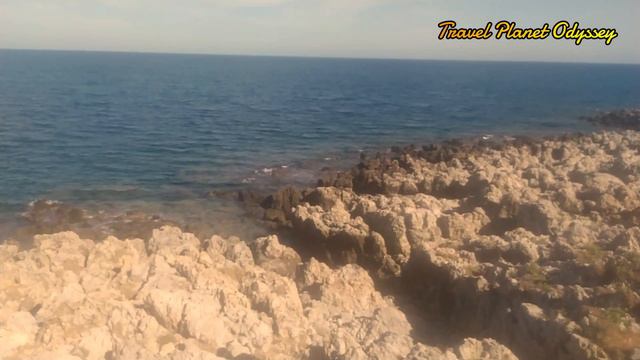 Ocean Waves 09/12/2023 & Танец буги-буги смотреть онлайн