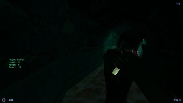 Что за игра? | Sven Co-op смотреть онлайн