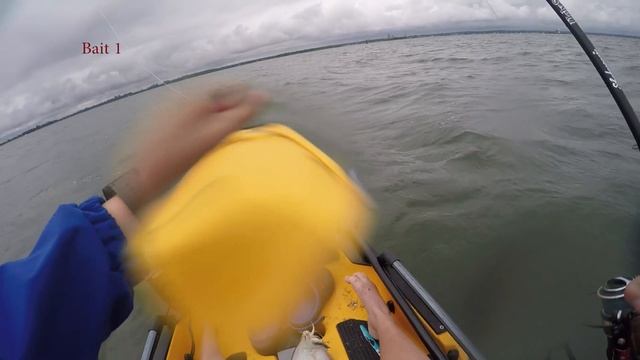 Gulp vs Live Bait fluke fishing comparison смотреть онлайн