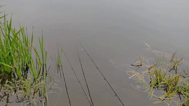 Честный обзор о фидерном удилище от Feeder Concept Distance 80, 3.9 м