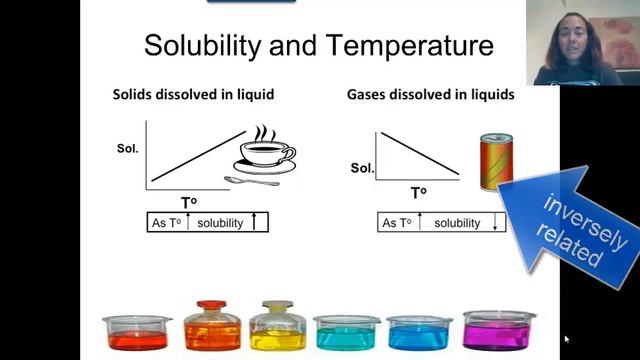 Solubility curves смотреть онлайн
