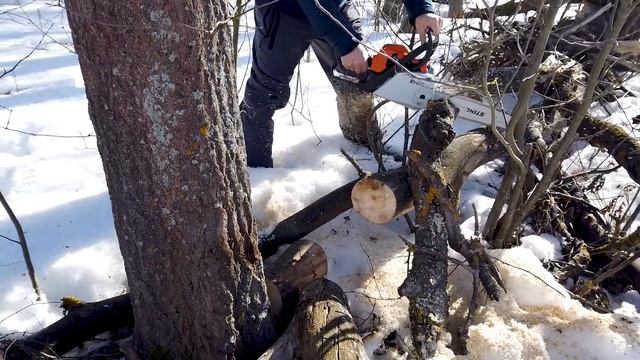Собираем валежник с сыном чтобы растопить баню. смотреть онлайн