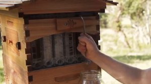 Улей с автоматическими сотами для бесхлопотного сбора меда