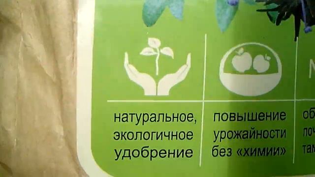 СИДЕРАТЫ!!! СЕЮ В ТОМАТЫ... смотреть онлайн