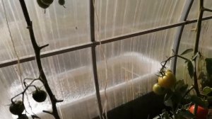 Капельный полив Жук с таймером от ёмкости