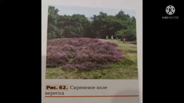 23.СРЕДНЯЯ ЕВРОПА.БРИТАНСКИЕ ОСТРОВА/ГЕОГРАФИЯ-СТРАНОВЕДЕНИЕ 7 КЛ/О.А.КЛИМАНОВА смотреть онлайн