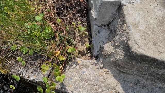 Сделай Сам на 100%