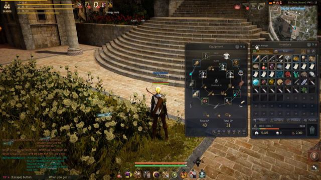 Black Desert Online - Steam version - 2017 Gameplay - Part 29 - Ranger - Valkyrie's Treasure смотреть онлайн