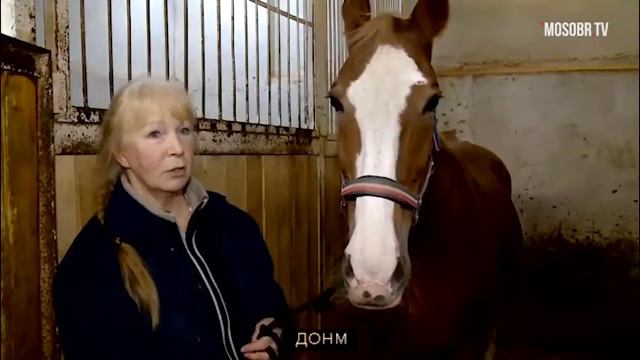 Селекторное совещание Департамента образования и науки г. Москвы, 07.02.2019 смотреть онлайн